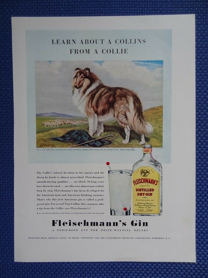 Vintage 1940 Fleischmann Dry Gin Colorful Ad With Collie Dog - 9" X 12"